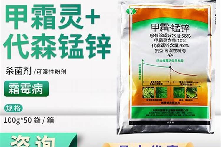 番茄的种植管理方法需要注意什么