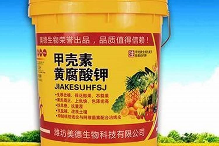 换盆的玉树多久能晒太阳 玉树换盆后需要几天才能晒太阳？