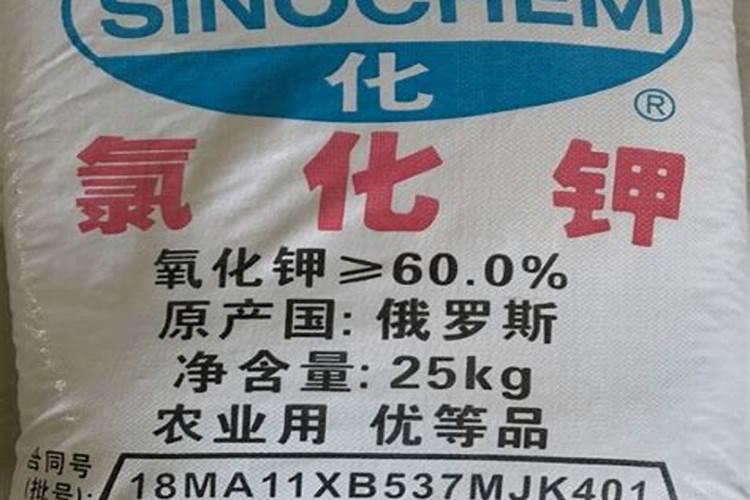 蛏苗意思和来源是什么
