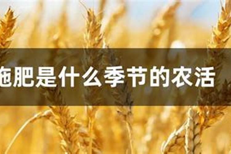 梅花施肥时间和方法