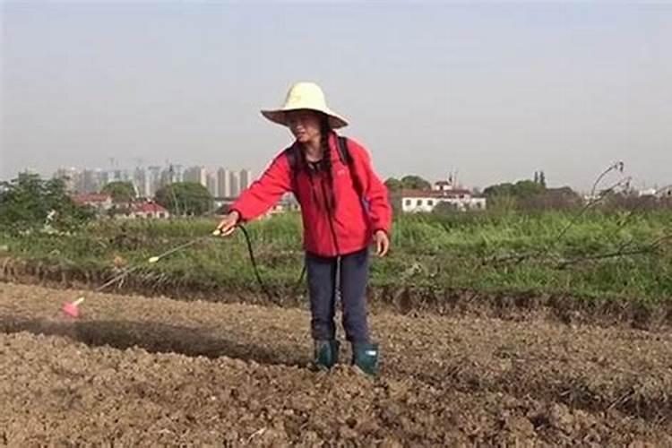 施肥什么季节最好