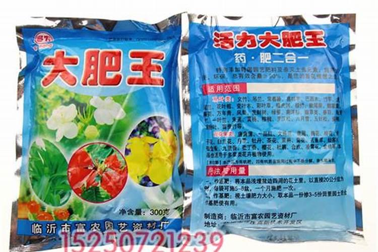 黄瓜生长过程中最怕遇到什么肥料？