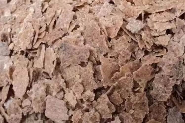 花盆栽种红萝卜需要注意哪些问题