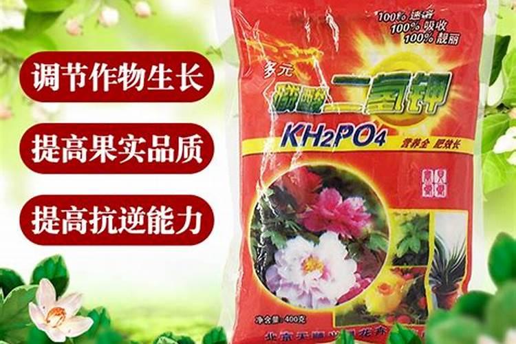 全钾花肥适合什么花;君子兰叶面肥用什么肥最好