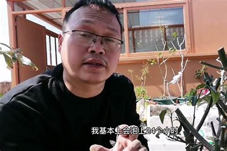 刚种一个月的小树苗能不能使用叶面肥？