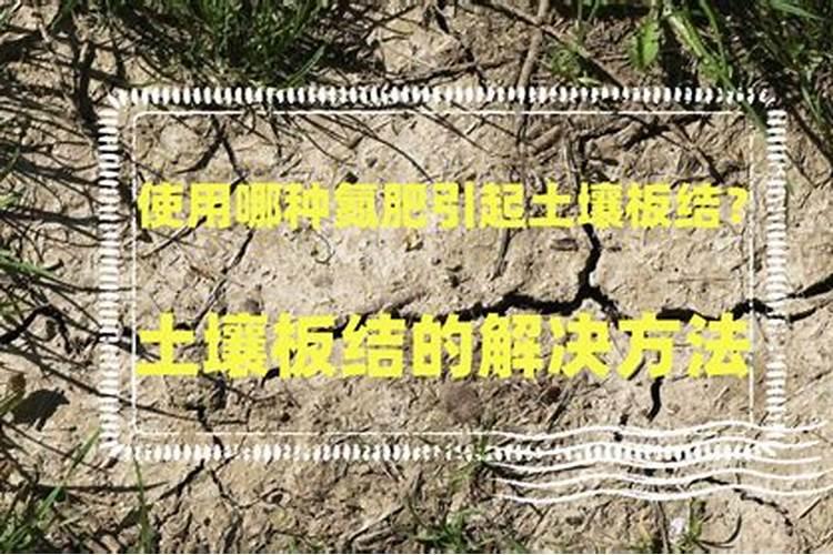使用哪种氮肥引起土壤板结