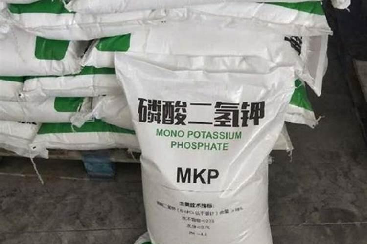 磷酸二氢钾什么时期喷施效果最好