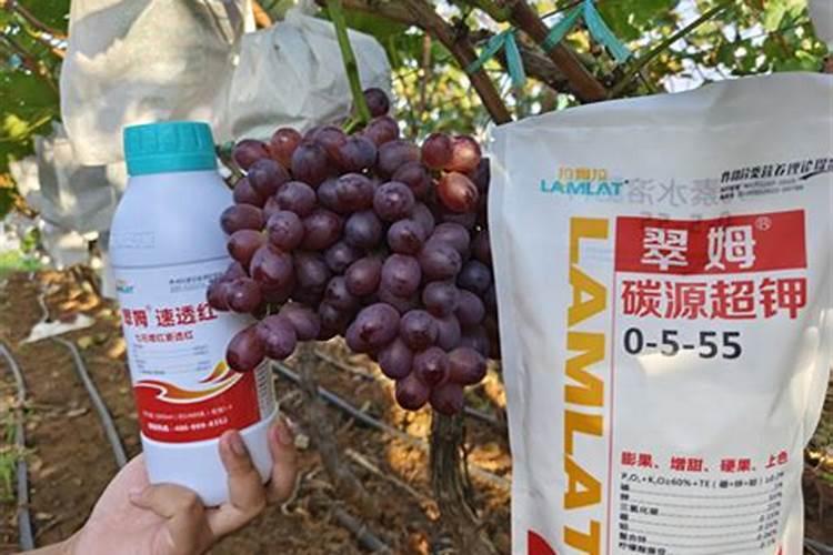 正宗颗粒水溶肥巧棵力云南有代理吗