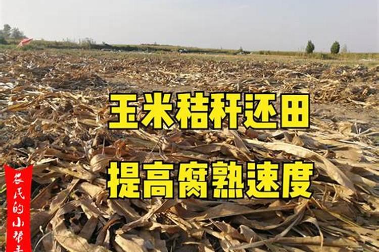 酸奶可以浇花吗