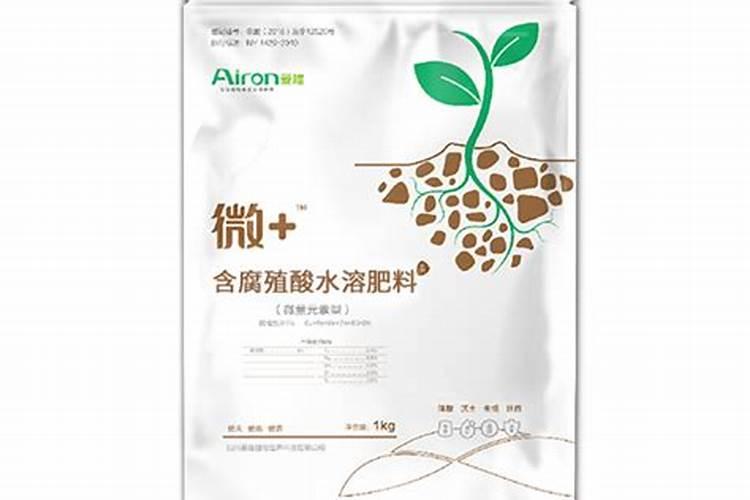 种果苗用什么肥料做底肥不烧苗