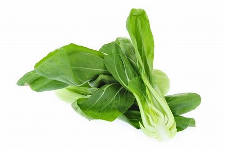 油菜施用硼肥的方法有哪些