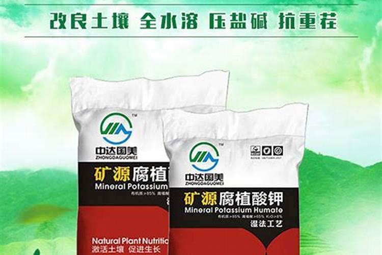 贝母的栽培方法