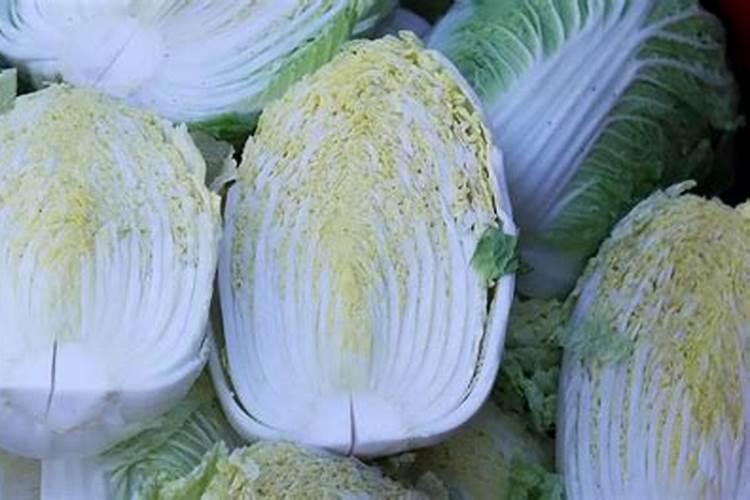 白菜最忌三种肥