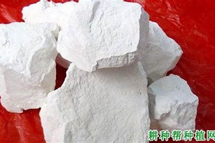 怎样把生石灰粉合理地用在地里