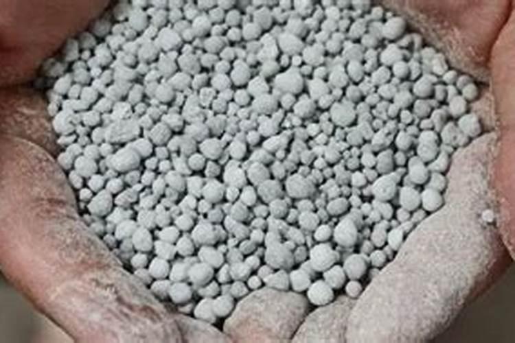 花卉施肥用什么肥料 花卉施肥用哪些肥料