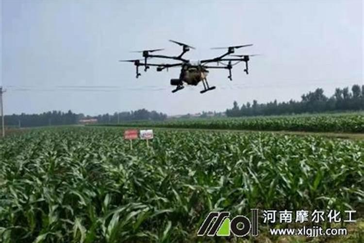 叶面喷施硼肥的最佳时间