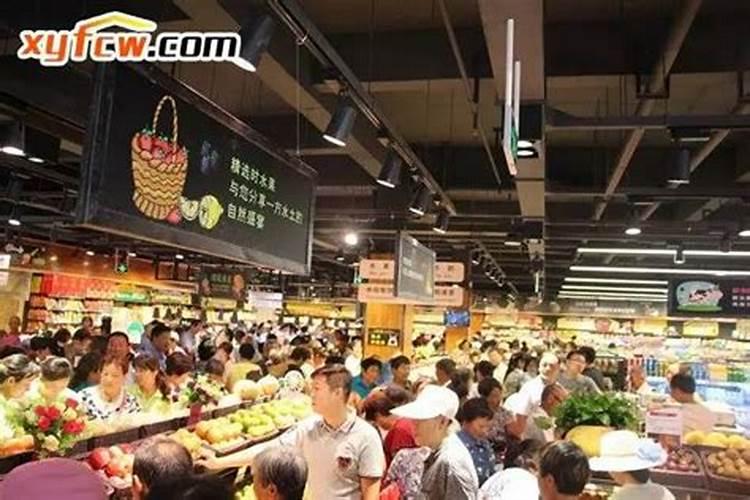 有“招财进宝”寓意的绿植,又适合家居养得有哪些？