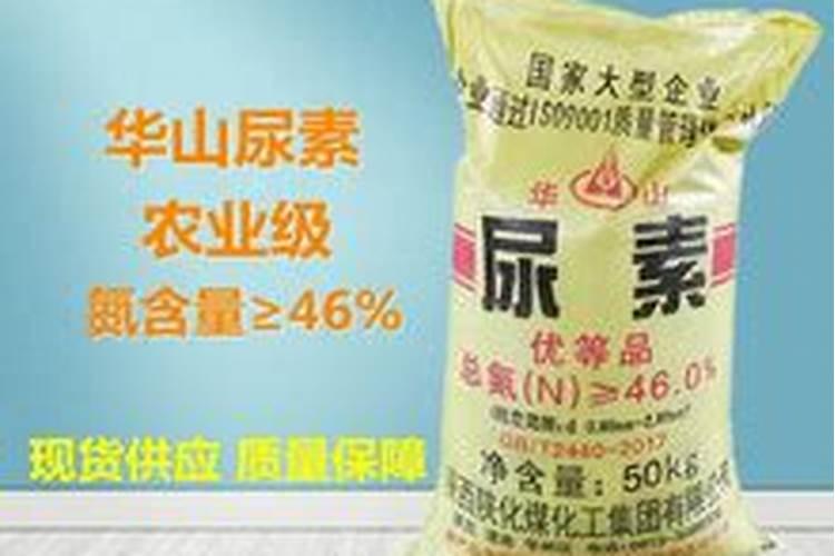 对于处于开花期的葡萄,浇水并施硼肥合适吗