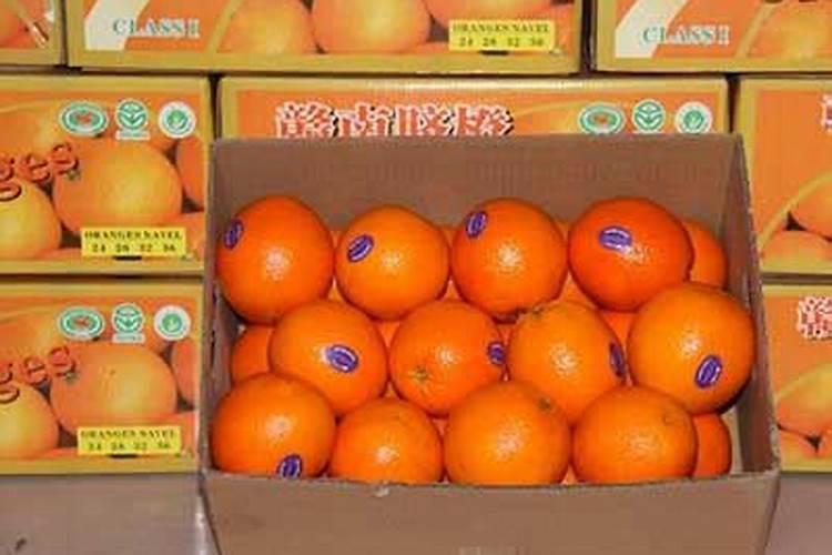 甜瓜施肥的时间和方法甜瓜如何施肥