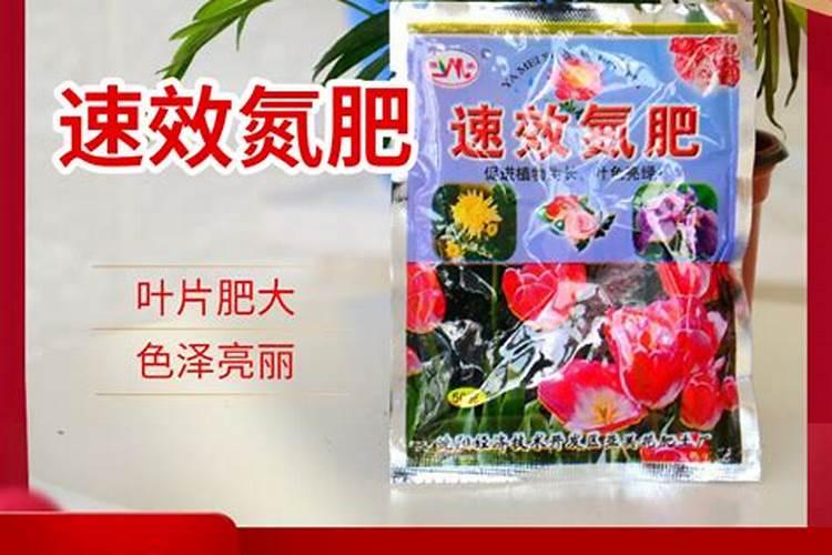 小麦拌种能用芸苔素吗
