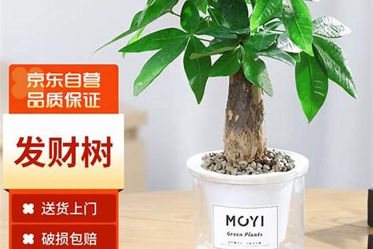 滨州市京阳生物肥业有限公司怎么样？