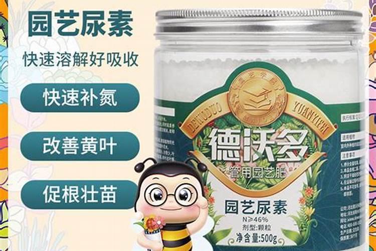 三角梅用什么肥料催花
