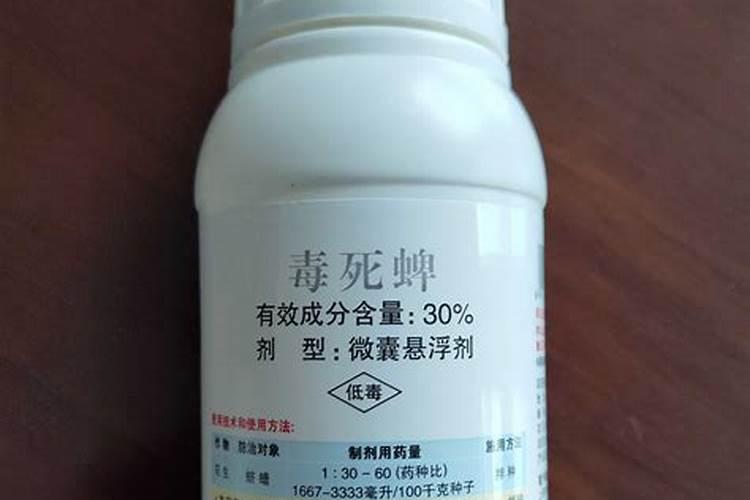 夏天种白菜如何浇水 夏天种白菜怎么浇水