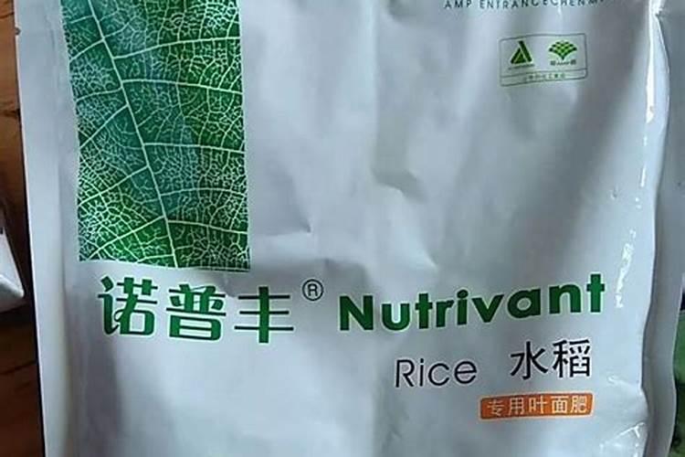盆栽草莓怎么施肥