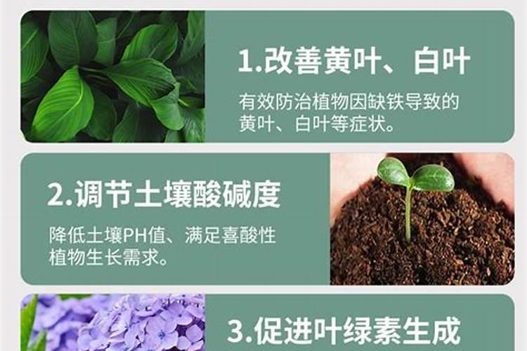 钾肥有哪些 钾肥包括哪些