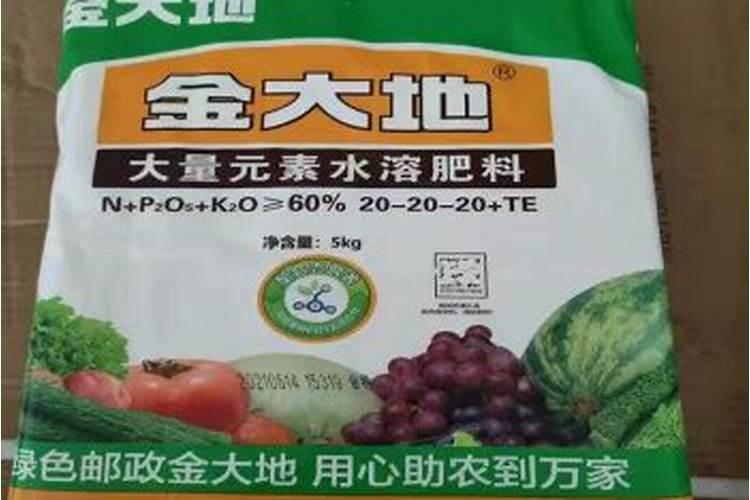 枇杷树什么时候施全钾肥最好？