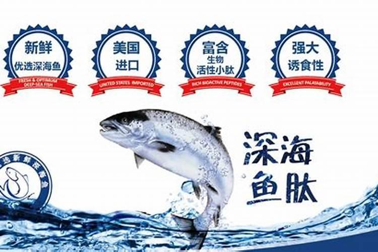 鱼溶浆和鱼蛋白有什么区别