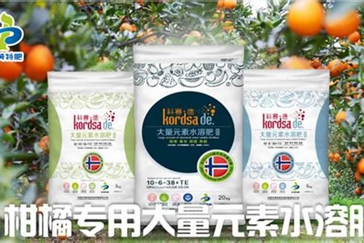 柑橘烂根怎么办？