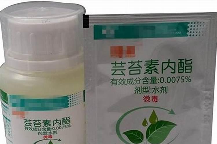 什么才是真正的长效芸苔素？芸苔素持效期长有什么效果？