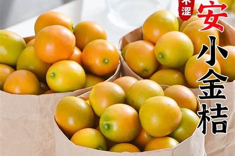 脆皮金桔的土肥水管理