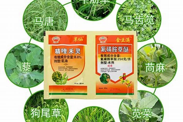 大豆黄叶病用什么药效果好