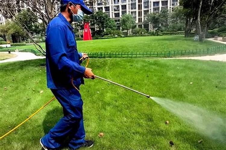 水果很甜是打甜蜜素吗