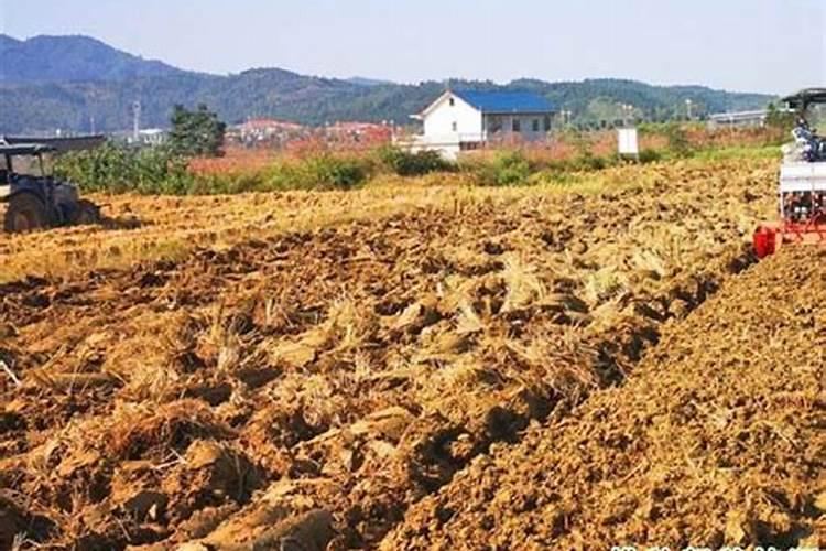 氮元素能在生物群落与无机环境中不断循环,为什么还要往农田中不断...