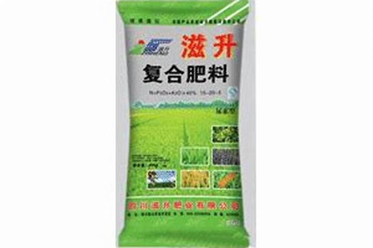 菠萝蜜施什么肥最好