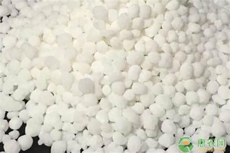 硝态氮是氮肥吗 适用于哪些农作物