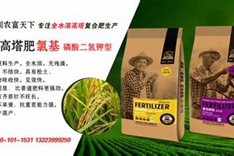 八月瓜怎么种植 养护技巧有哪些