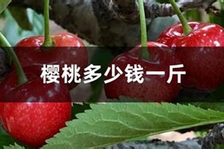 黄瓜盛果期多久浇一次水