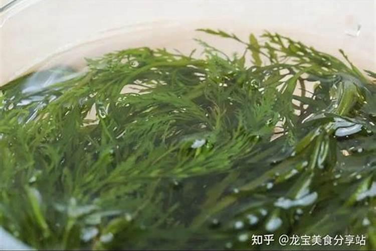 用大粪浇的西瓜怎么会是甜的