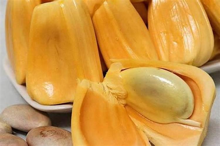 菠萝蜜种植方法