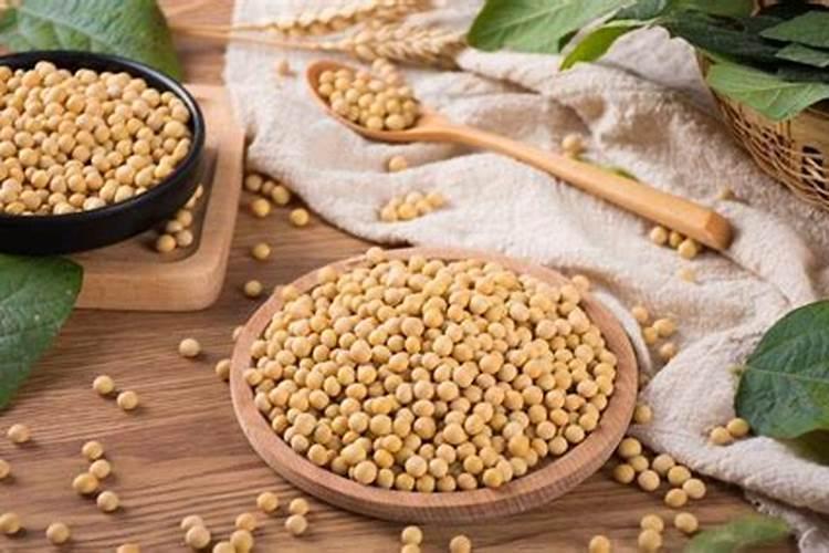 种豆最好的肥料是什么？