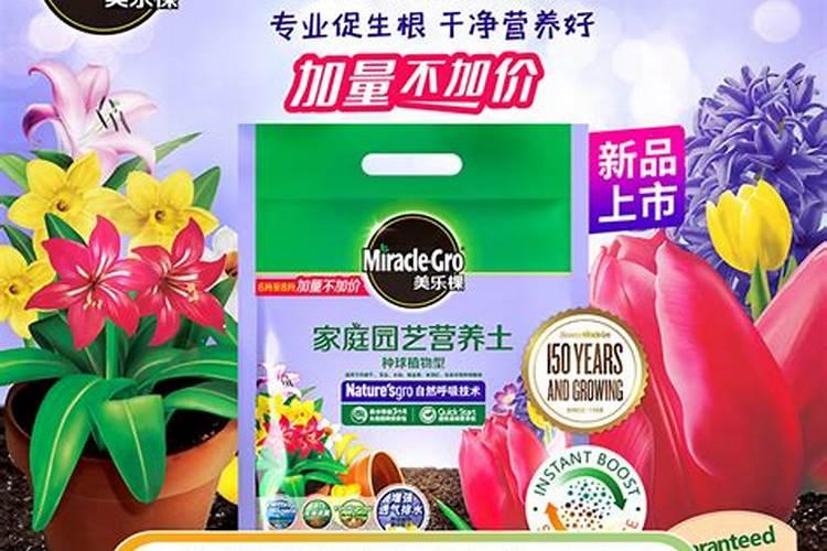 花卉什么时候施肥