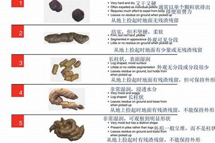 人的粪便可以做很好的化肥,为什么鸡和牛的却不行？