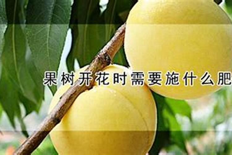 果树促花用什么叶面肥好？