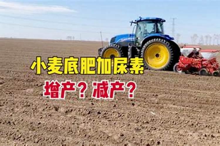 钙肥的作用及施用方法,钙肥对作物的主要作用