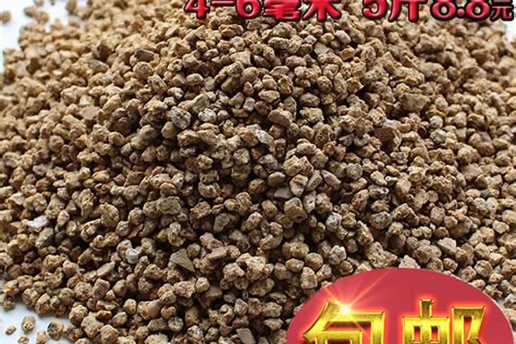 多肉半死不活,就加这7样东西,立马活过来~多肉植物馆  花卉网百度知...