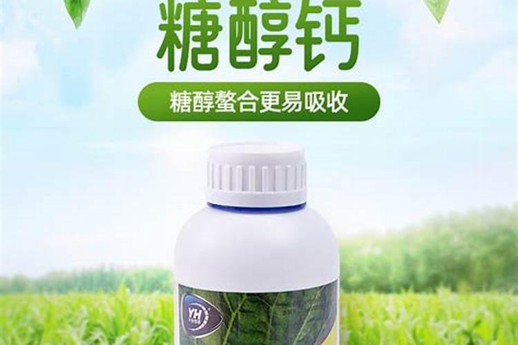 花多多10号适合浇什么花